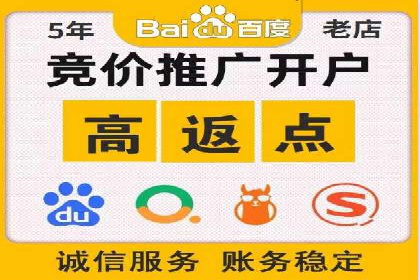 行业领先的SEM竞价广告投放案例